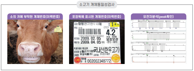 6면 동물위생 정보 그림2